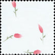 Novelty Hand Painted Silk Gazar Fabric JB238 color 629 Strawberry Pink by JB Silks