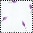 Novelty Hand Painted Silk Gazar Fabric JB238 color 753 Violet Petal by JB Silks