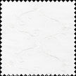 Embroidered Silk Yarn Dyed Shantung Doupioni Fabric JB166 color 100 White by JB Silks