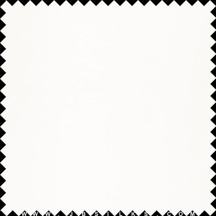 Silk Organza Fabric color 101 Light Ivory wide width by JB Silks