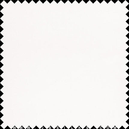 Silk Satin Organza Fabric 6100 color 101 Light Ivory wide width by JB Silks