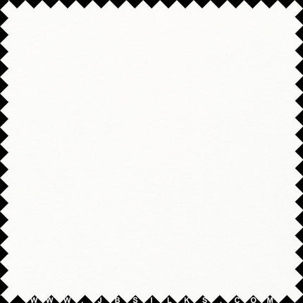 Sueded Silk Fabulous Crepe Junior Fabric 9328 color 101 Light Ivory by JB Silks
