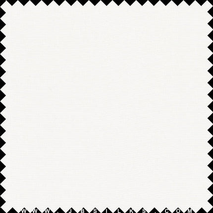 Sueded Silk Texture Fabric 9431 color 101 Light Ivory by JB Silks